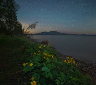 Цветущий берег Зюраткуля
