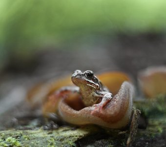 Встречай. Выезжаю.