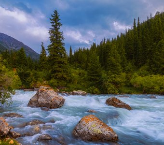 Летний вечер