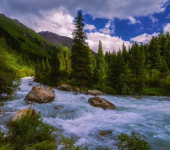 Летний вечер