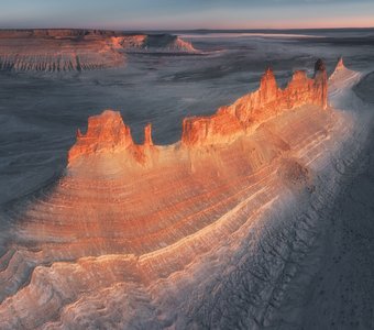 Корабль пустыни