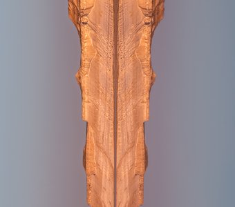 Золотое перо Мангистау