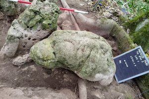 Археологи нашли древний город майя в Гватемале