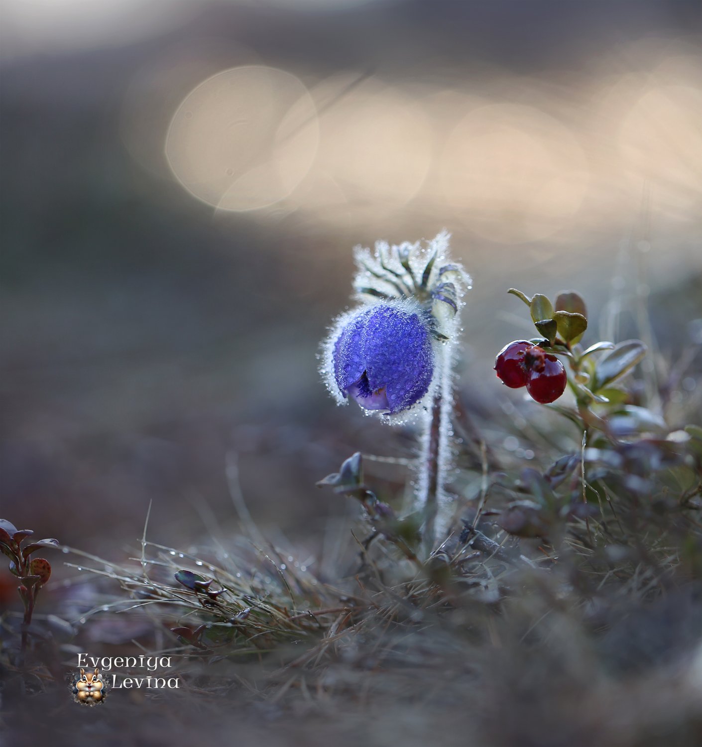 Старое и новое