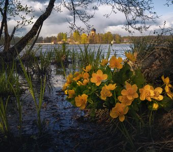 Укромный уголок на Введенском озере