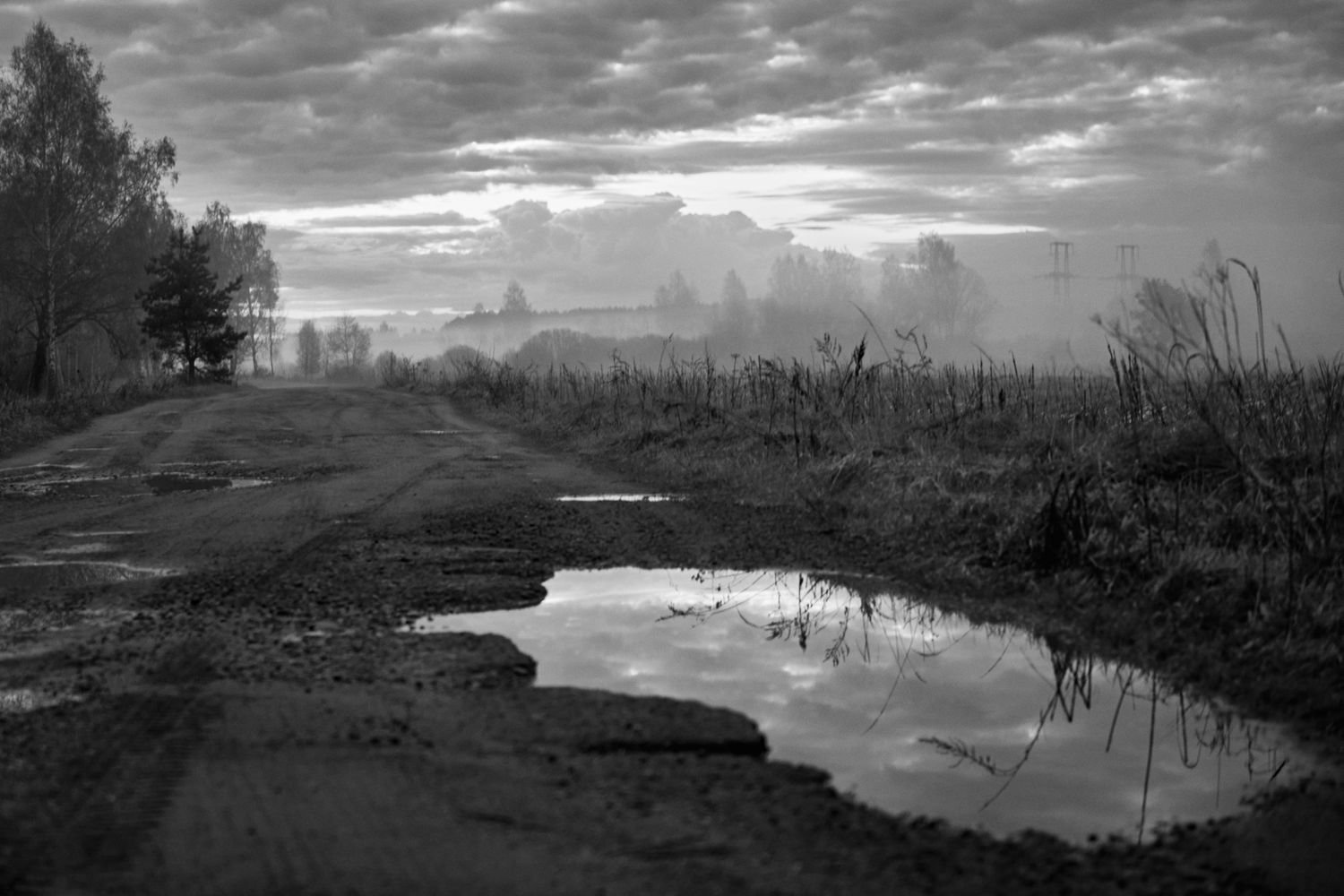 Туманный рассвет в поле