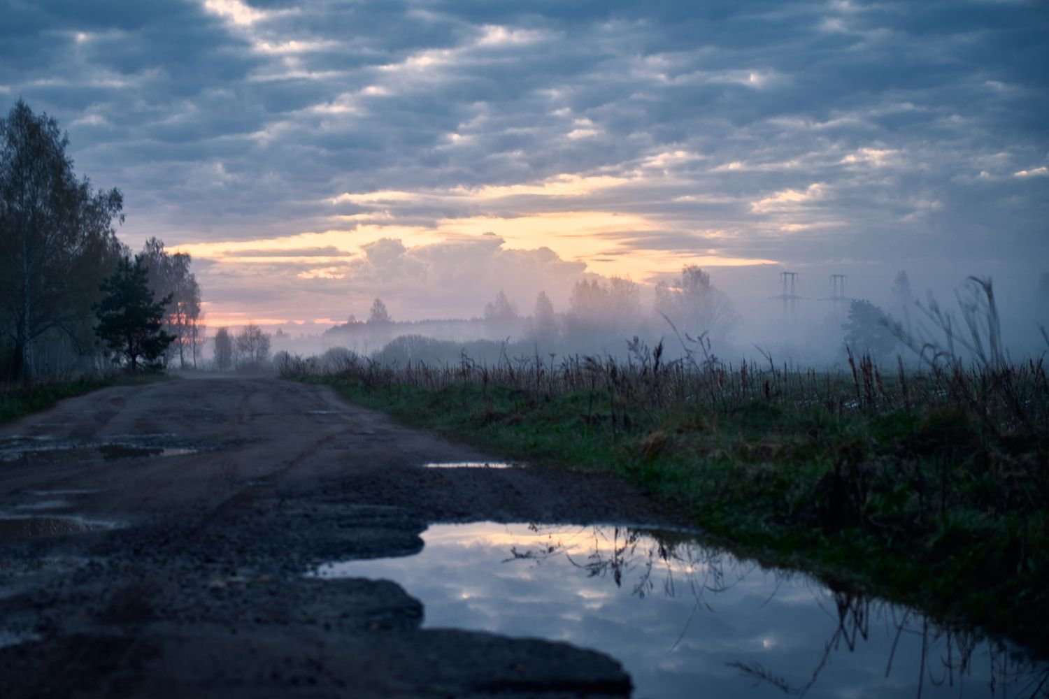 Рассвет в поле