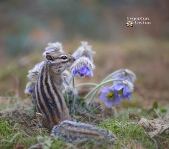 Майские радости