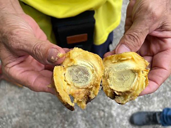 Фото: Bantakhun-Phanom rescue foundation