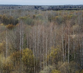 Над холмами