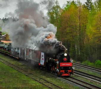 Поезд Победы в Мещёрских лесах