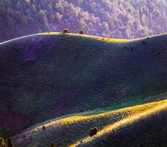 Песни Солнца