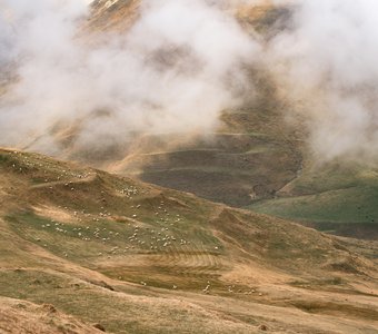 Овечки под облаками