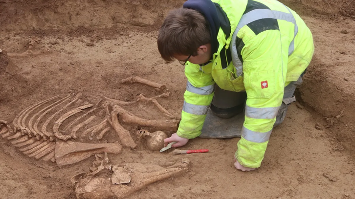 Фото: State Office for Monument Preservation in the Stuttgart Regional Council/ArchaeoBW/ Live Science