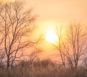 Весенний закат