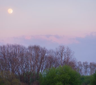 Лунный вечер