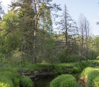 Река Шуленка