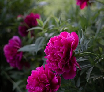 Прекрасное рядом, нужно только разглядеть.