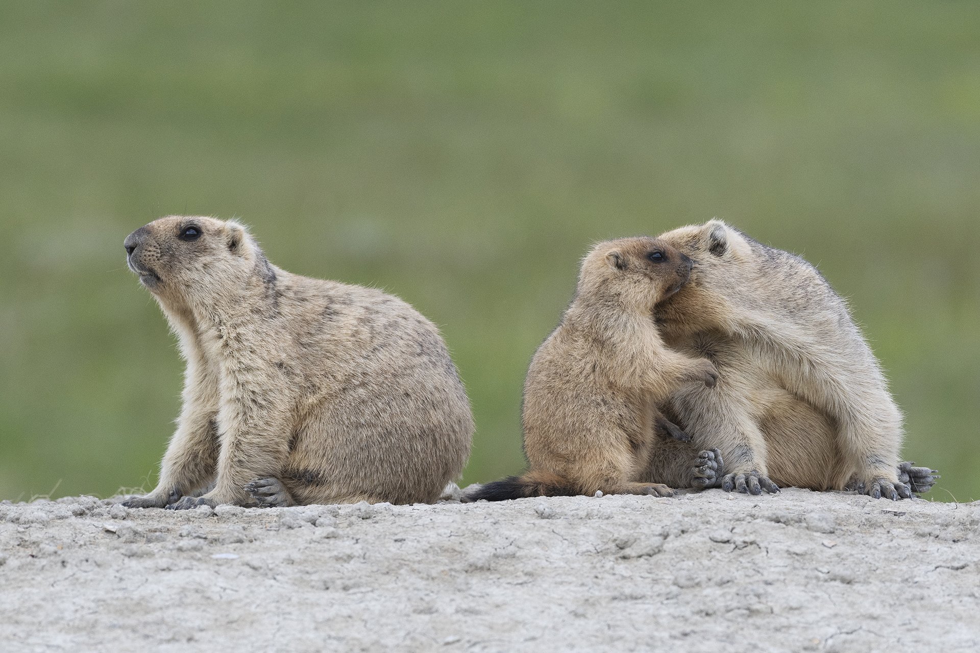 Секрет от мамы