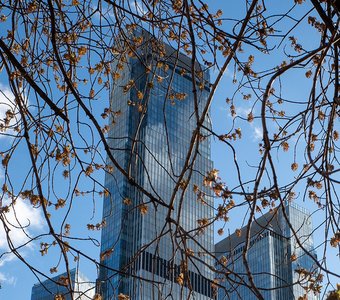 Москва-Сити