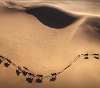 Неспешная прогулка