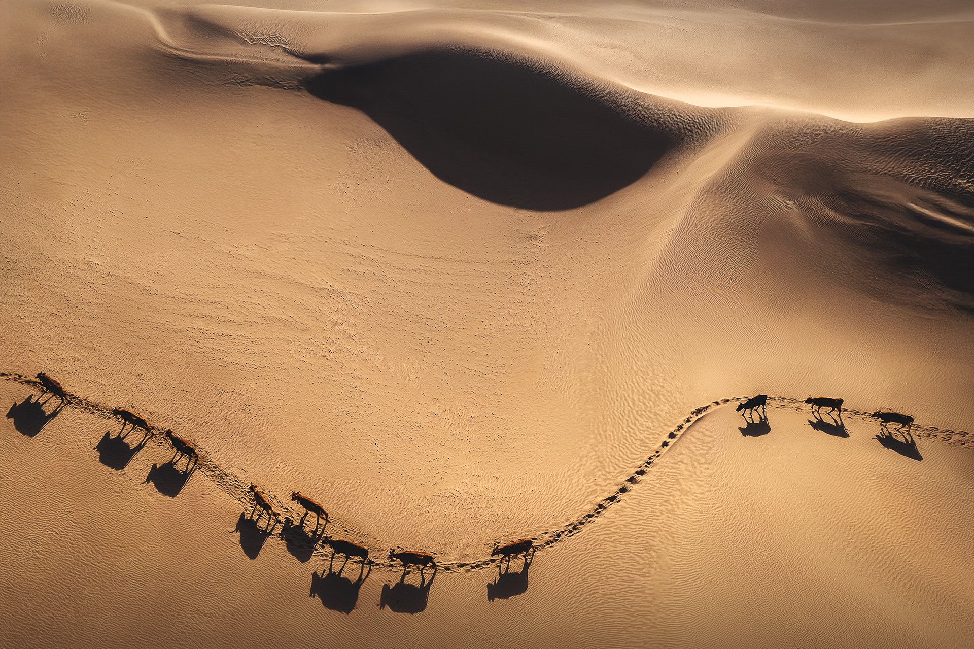 Неспешная прогулка