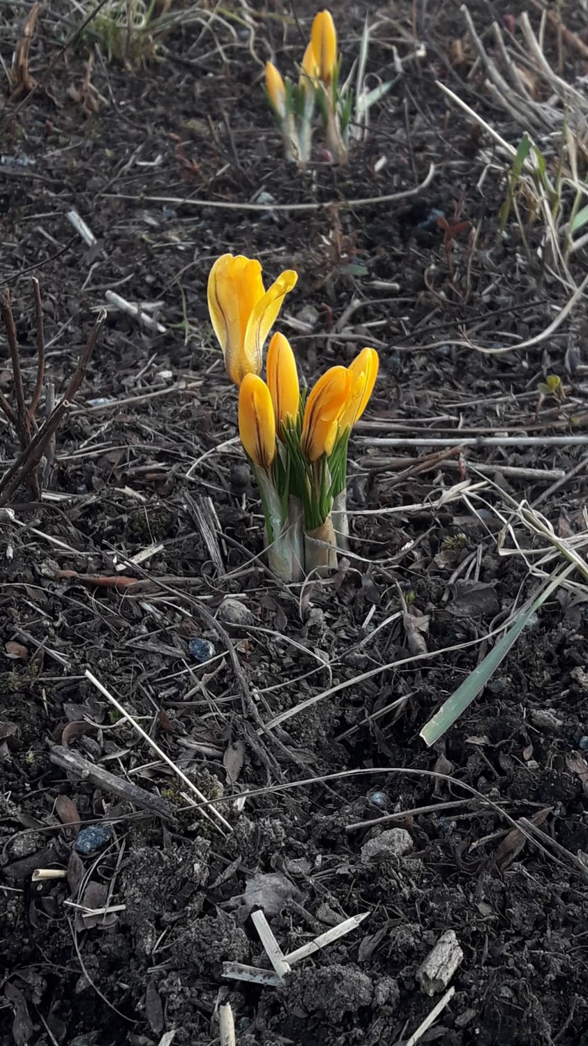 Лучи надежды