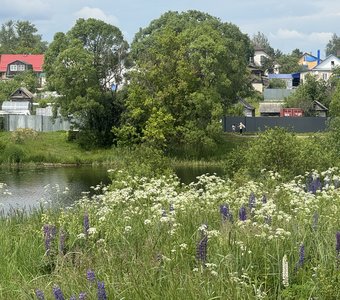 Летний полдень на речке Кимрке