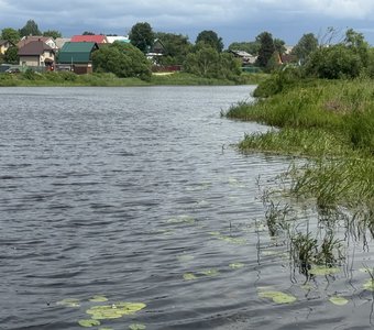 Лето на речке