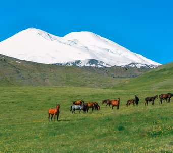 Северное Приэльбрусье