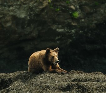 Встреча на берегу