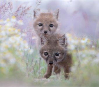 Время открытий