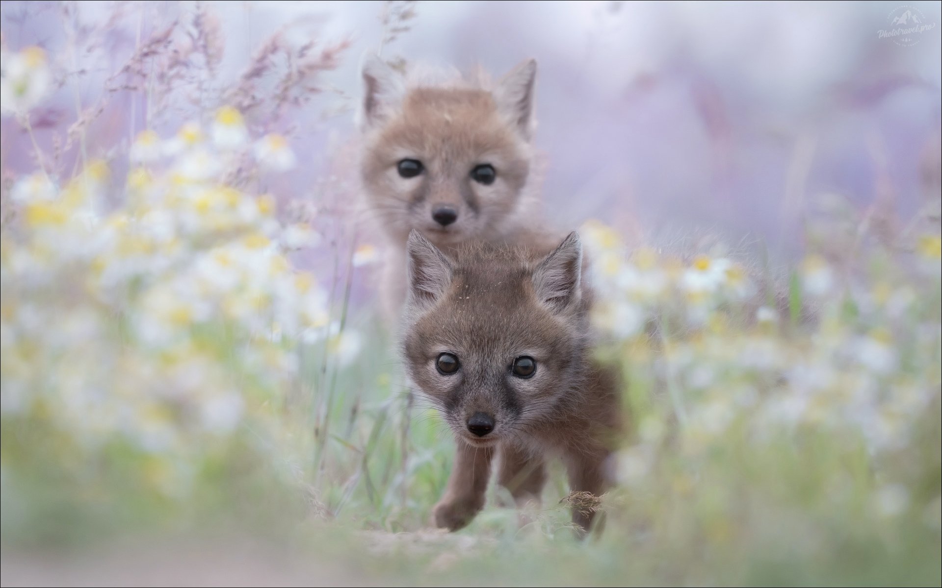 Время открытий