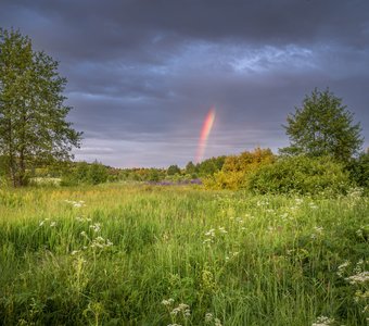 Выстрел в небо
