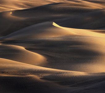 Дыхание пустыни