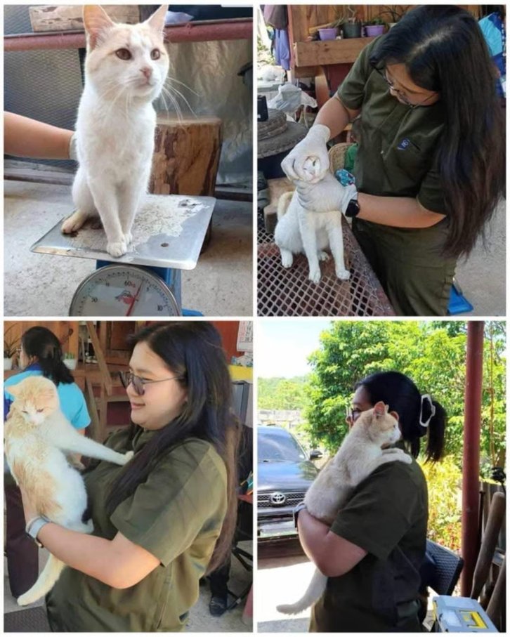 Фото: Facebook/mount.pulag