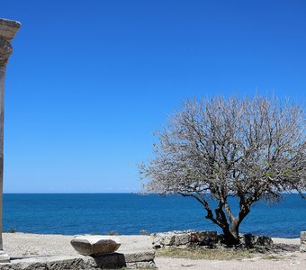 Музей-заповедник Херсонес Таврический. Крым