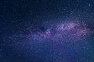 Австралийские бабочки чудесным образом находят путь домой по звездам