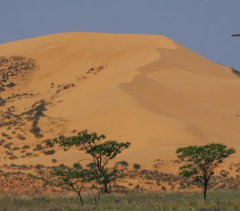 Бархан Сары кум..