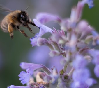 Трудовые будни