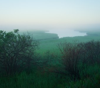 Туманное утро