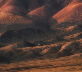 Среди безмолвных великанов