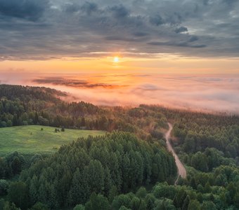 Рассвет над спящим лесом