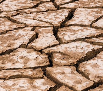 Воля к жизни