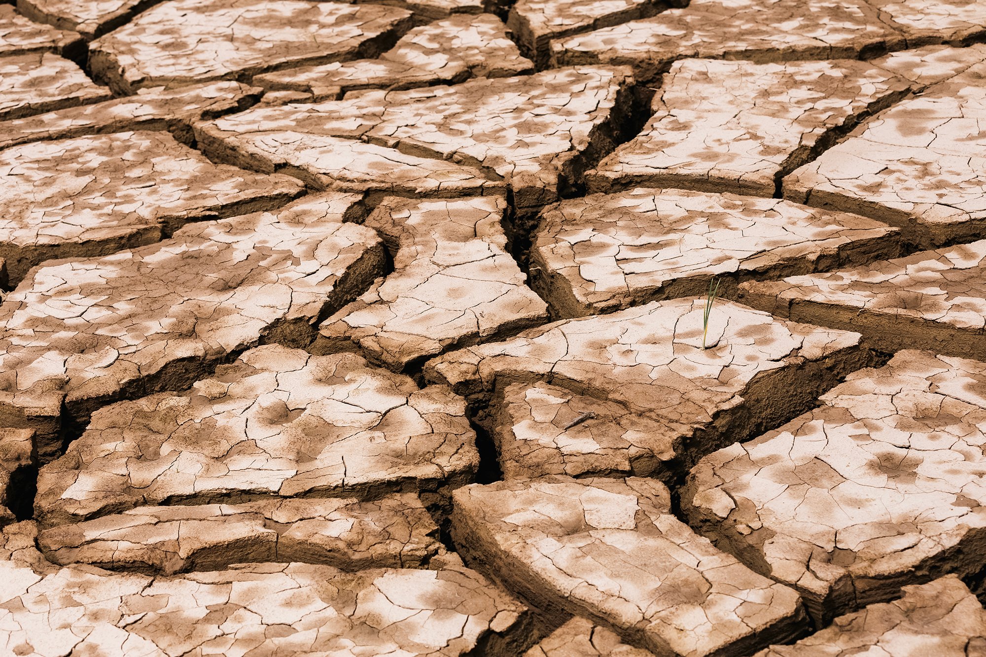 Воля к жизни