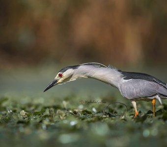 В ожидании поклёвки.