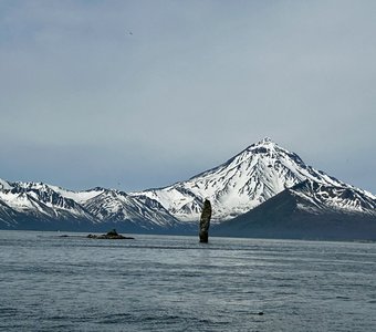 Авачинская бухта Камчатка