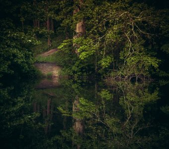 Тропа между мирами