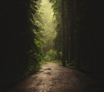 Путь между тенями