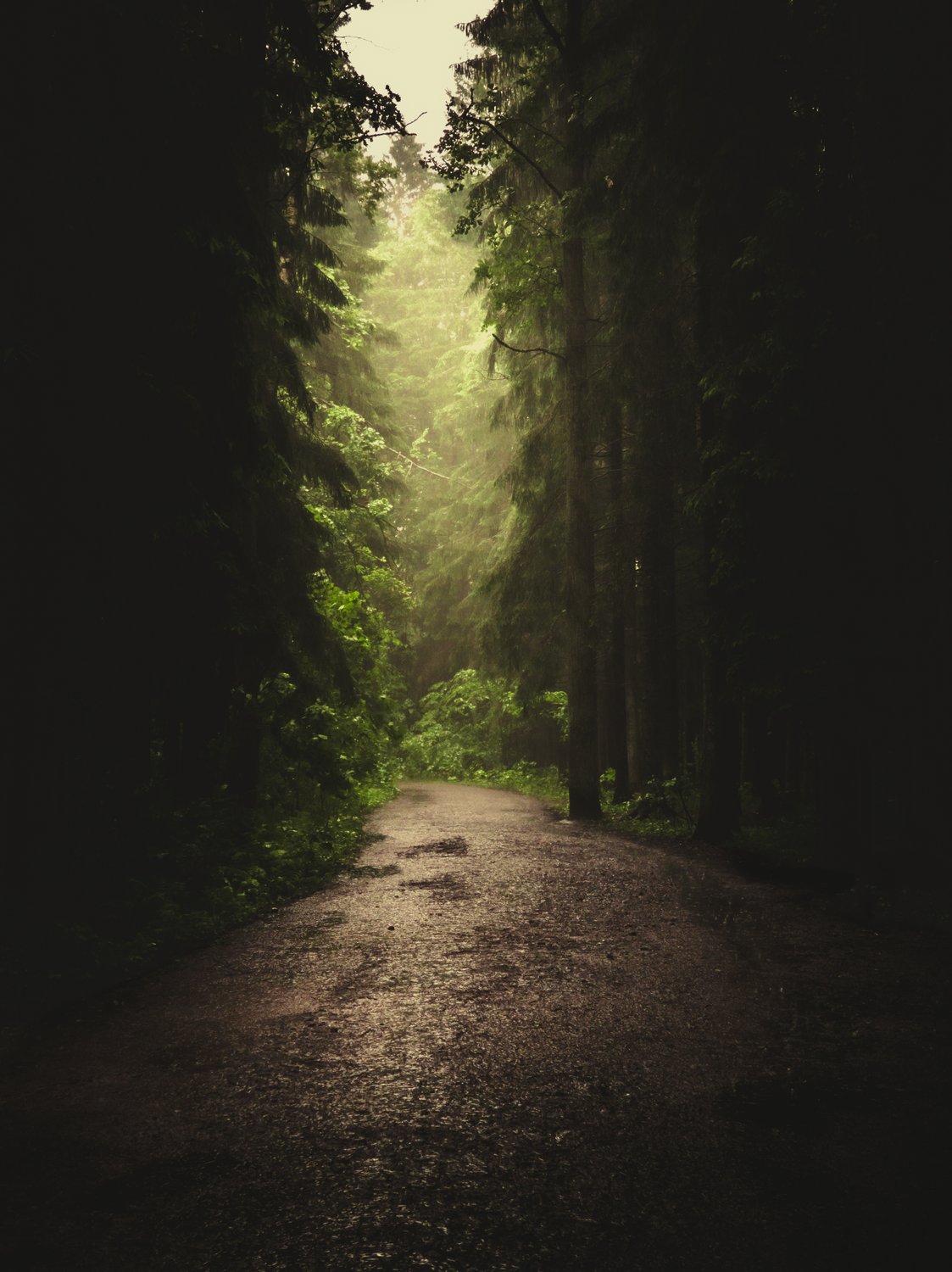 Путь между тенями